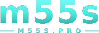 m55s logo